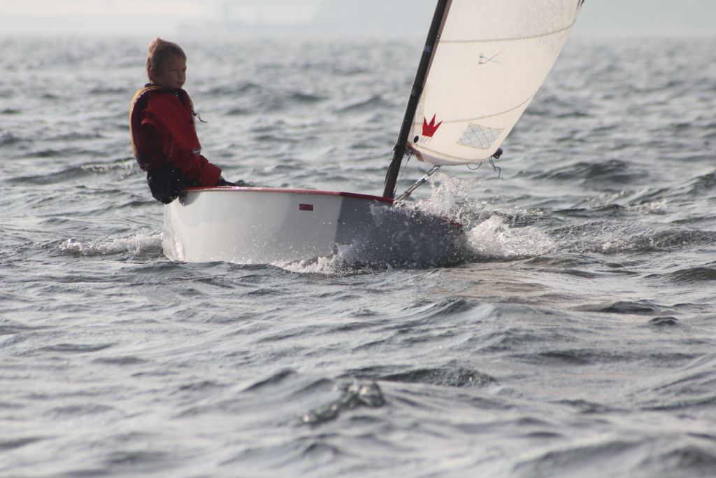 Vis 20101009 111704.jpg i fuld st�rrelse